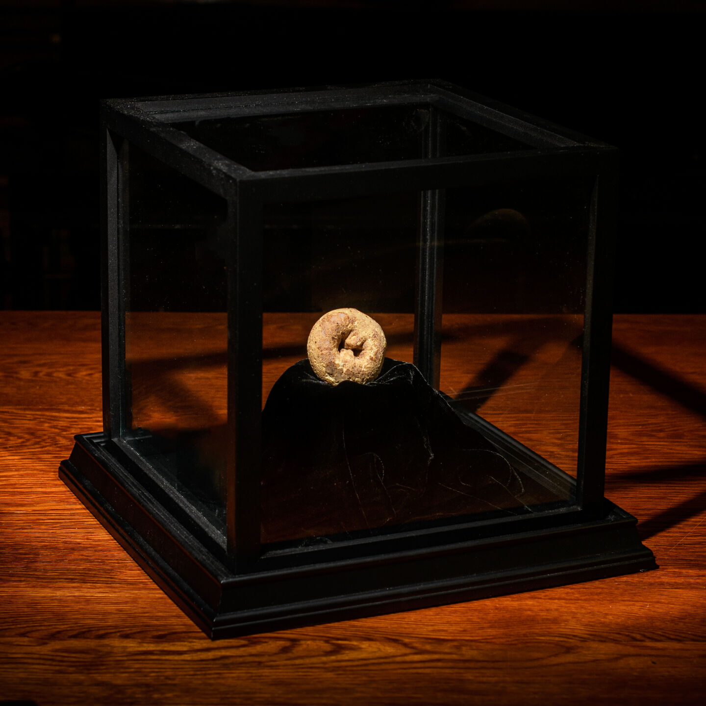 PIC30438-40_yr_old_doughnut-002.jpg